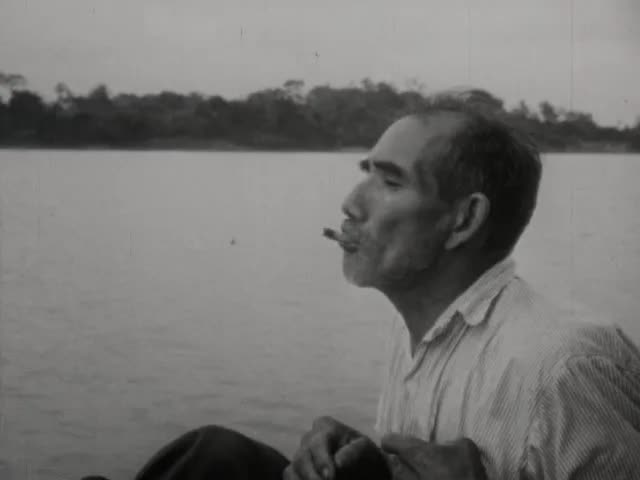 Tropical Lowland: Brazil, Amazon Lowland