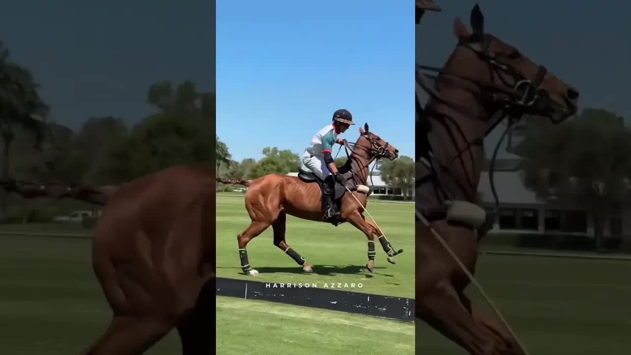 💥 @mrsmommabearofficial / @lonesomewindranch 👉 Goal 💥 WELLINGTON POLO TOUR