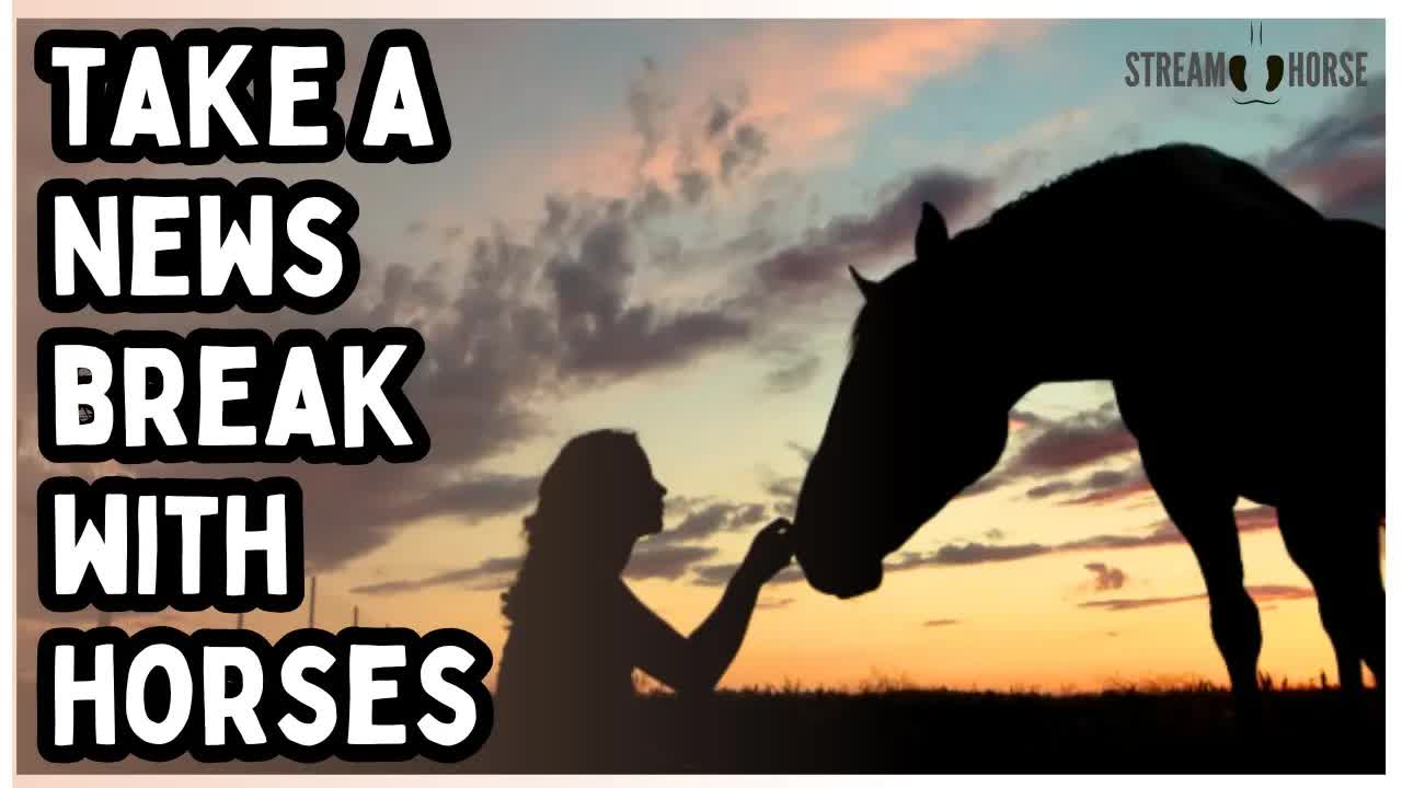 The World Keeps Spinning — You Don’t Have To 🐴🌍 10 Minutes with Horses & Nature