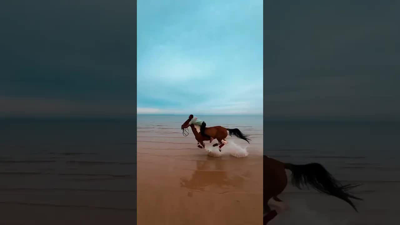 A collection of the most special horses I’ve ever ridden 🐎✨