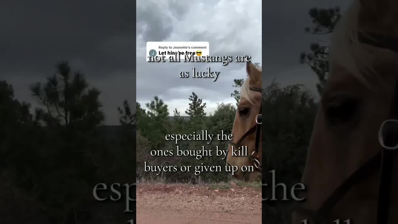 I'm not out there running gatherings, like some people seem to think. 👇