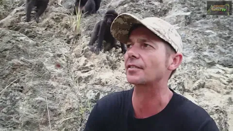Discovering fascinating wildlife during wildlife expedition during field research