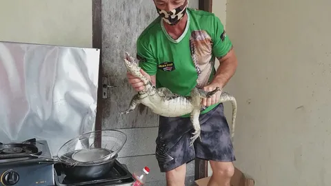 When large monitor lizard encounters domestic dog in backyard