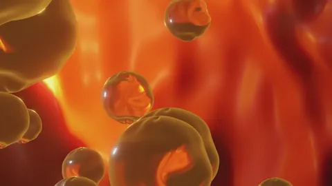 Common misconceptions about cholesterol debunked