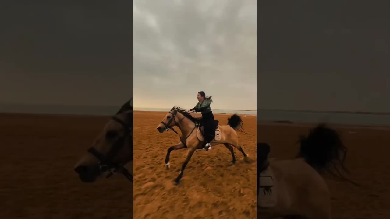 This feeling is better than therapy 🔥🐎📍Hurghada, Egypt 🇪🇬