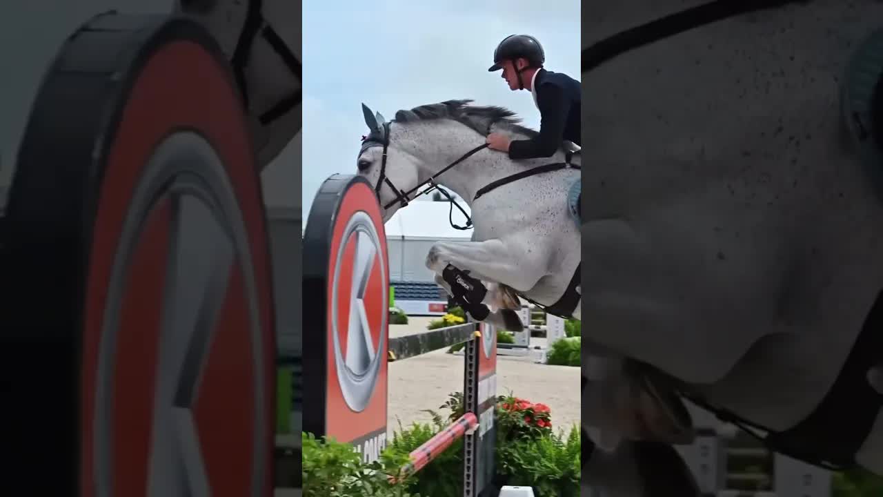 After winning the 1.35M Open on Wednesday, #FireHorse My Cadillac Jack is headed to tomorrow’s 1.40M