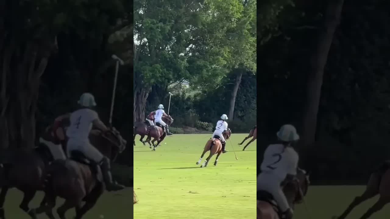 💥 @poroto_cambiaso 💥Catamount 👉 UNDEFEATED OUTBACK CUP 2026