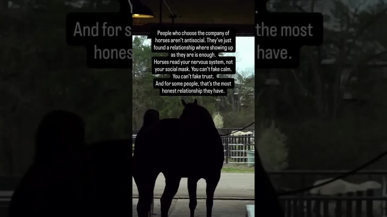 If you’ve ever felt more at ease in a barn than in a room full of people — there’s a reason for that