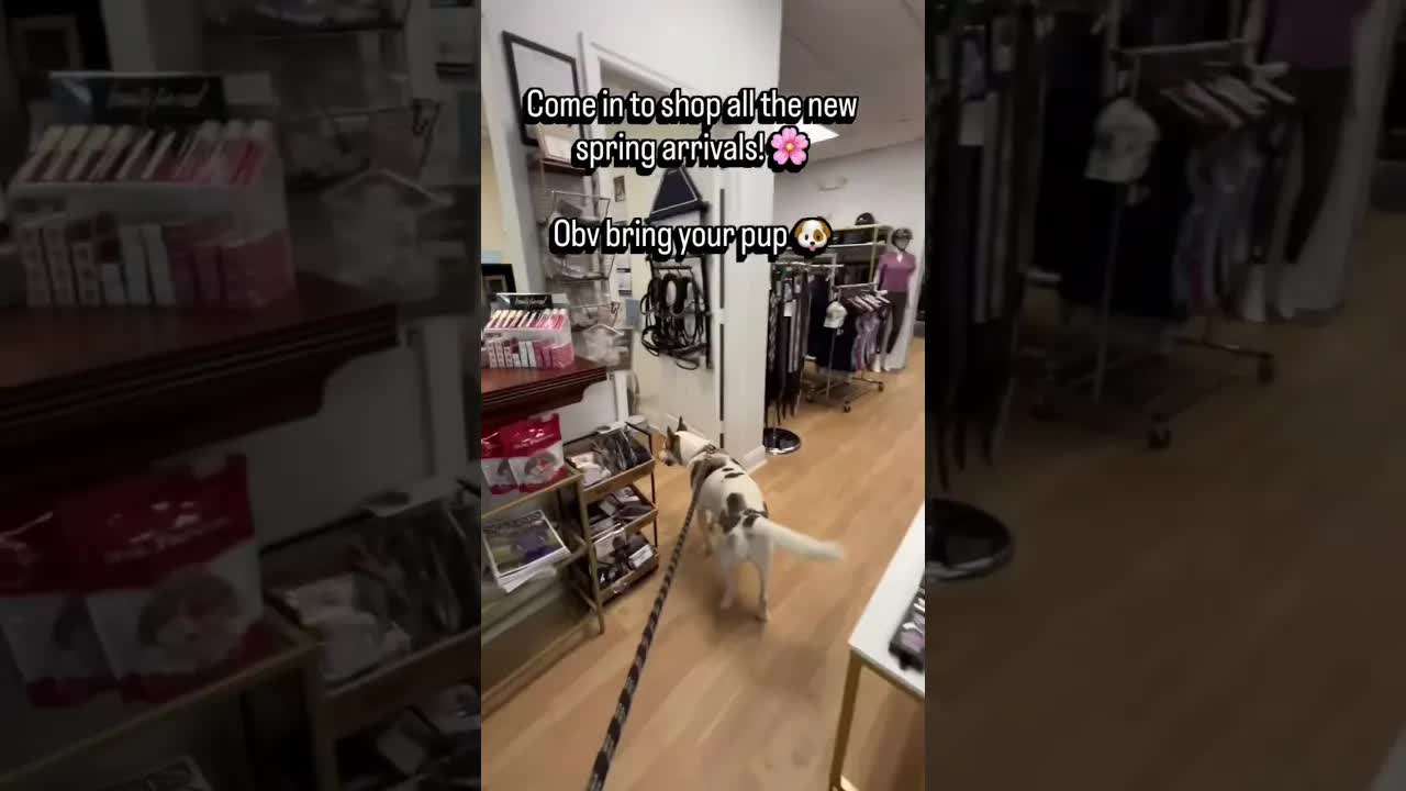 Come shop with us 🤩🌸🌷🍾🛍️ for the latest spring arrivals from Europe!