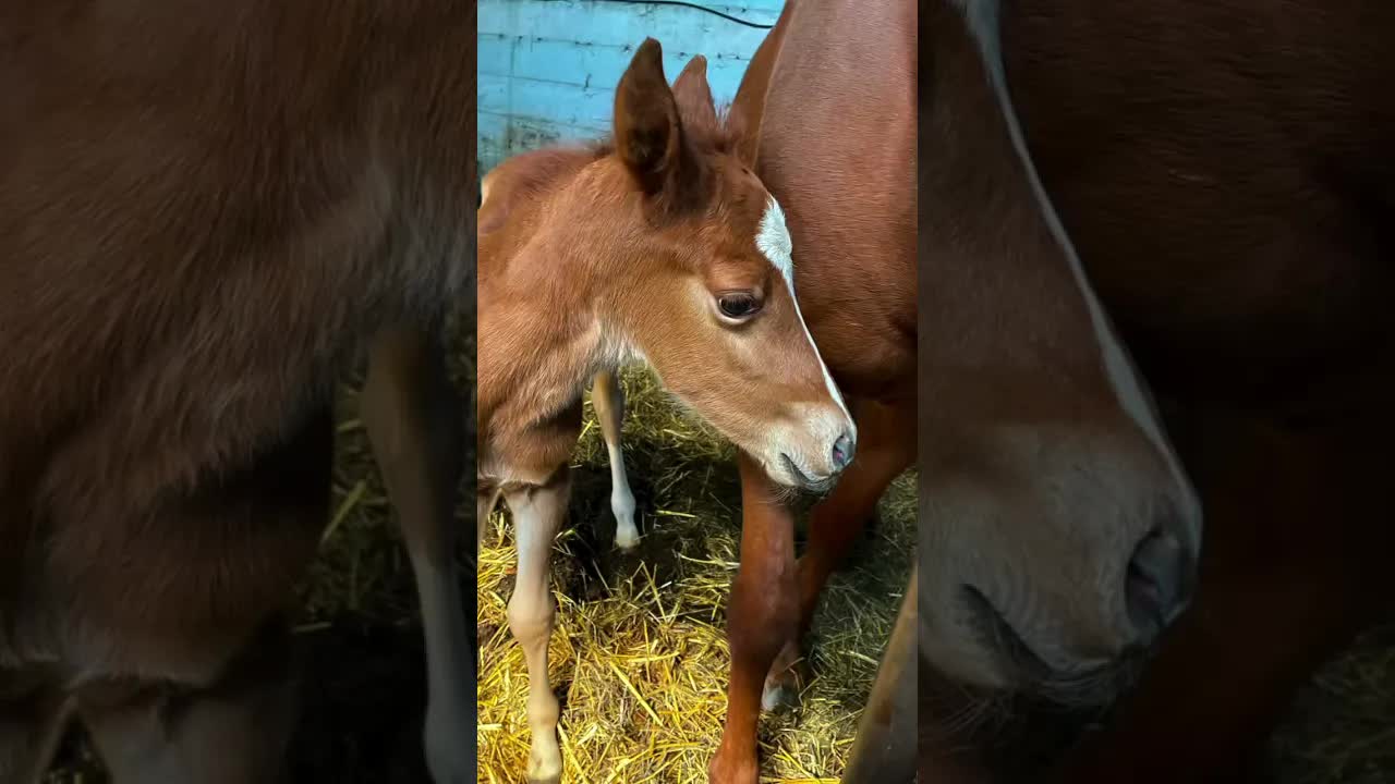 New life, big energy.