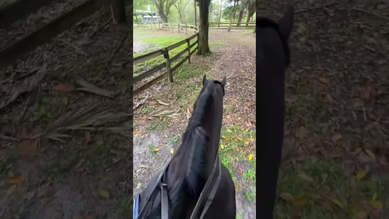 Everyday is the best day of our lives when having your barn protected by #FireHorse 🔥🐎🛡️