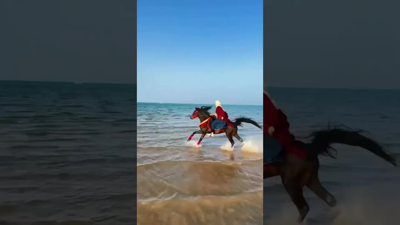 Basha isn't just a horse… He's prestige and strength when things get serious 🐎🔥