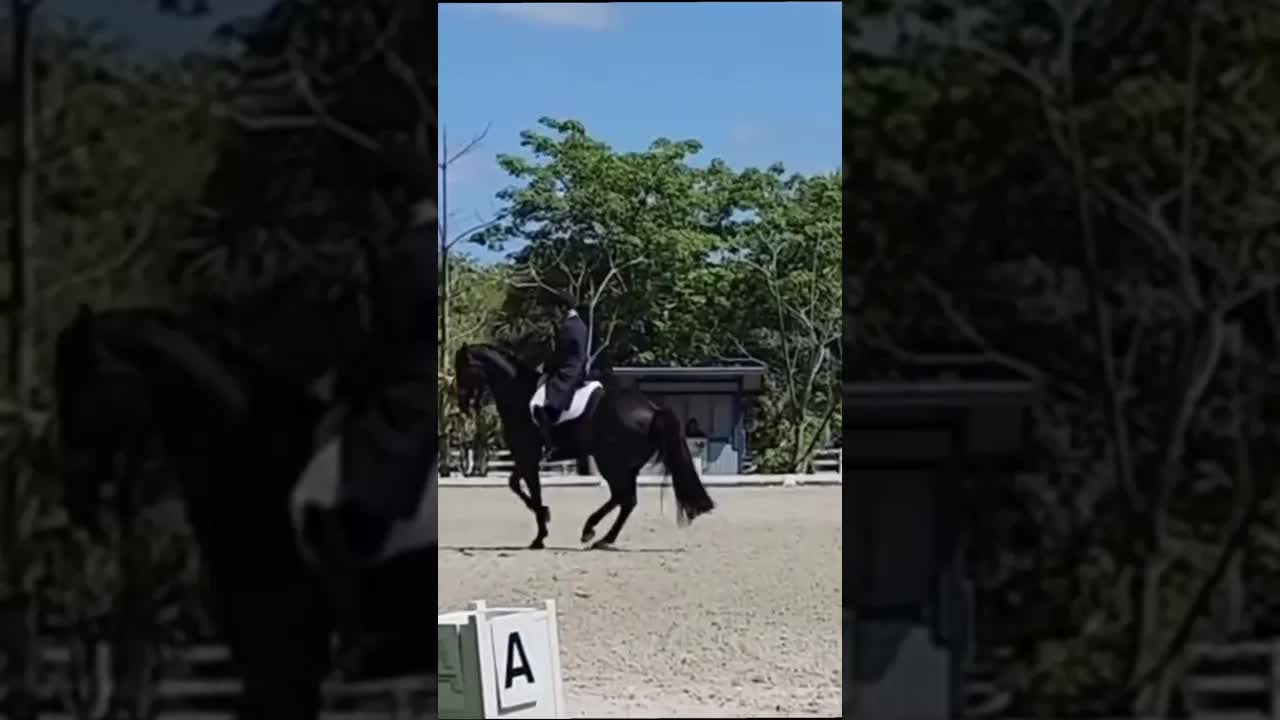 Another #FireHorse named Jack winning in the Grand Prix this week! 🤩🔥🐎