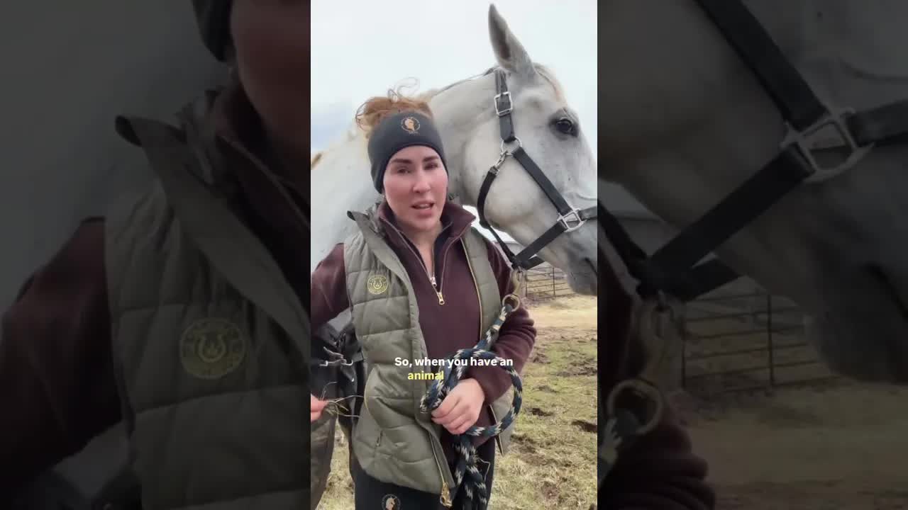 What animal came into your life when you needed them most? ✨🐶🐱🐎