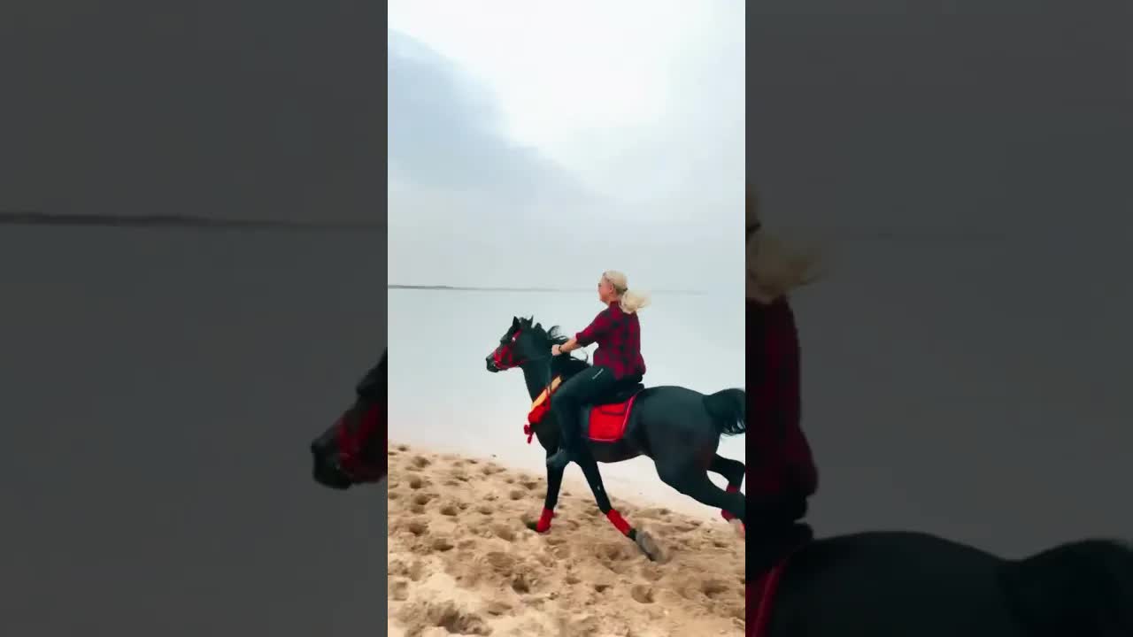 My heart and my soul Basha on fire — wild and free 🔥🐎♥️