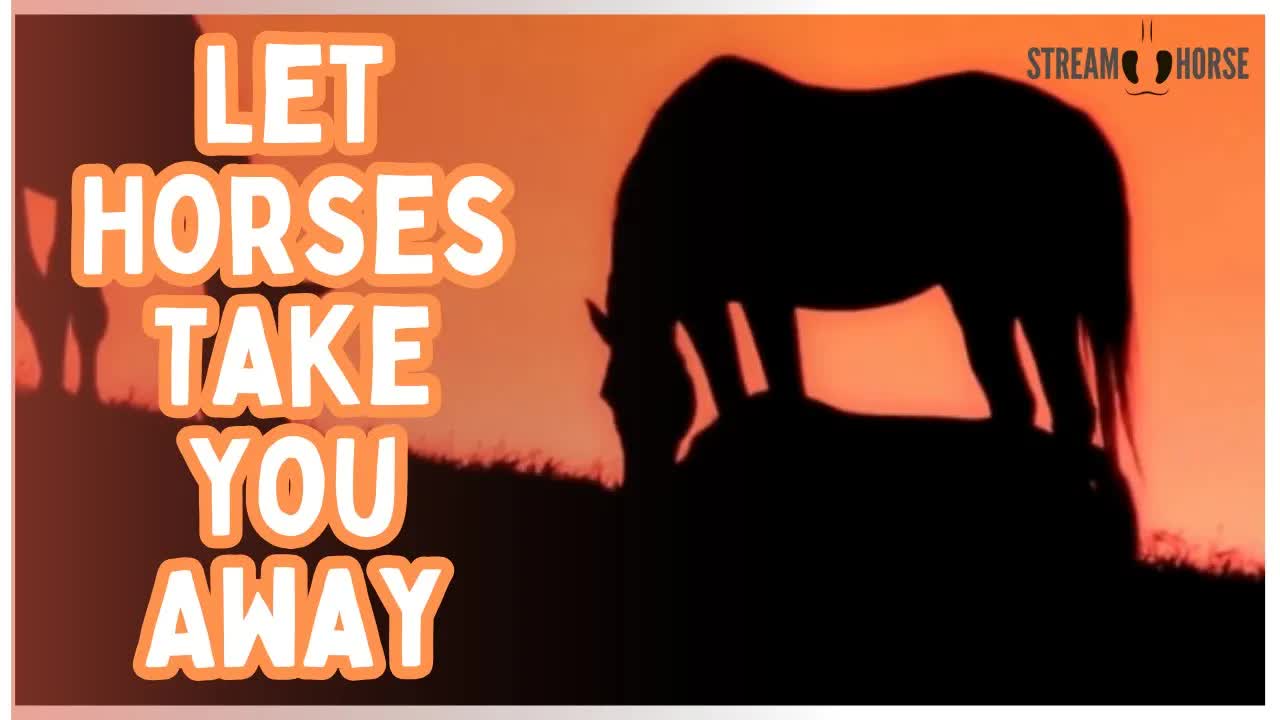 Let These Horses Take You Somewhere Beautiful 🐎😁