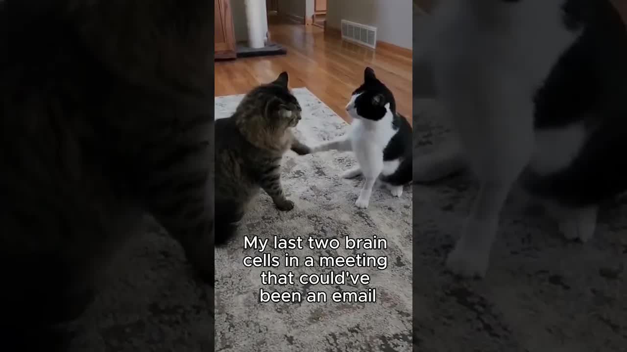 My last two brain cells