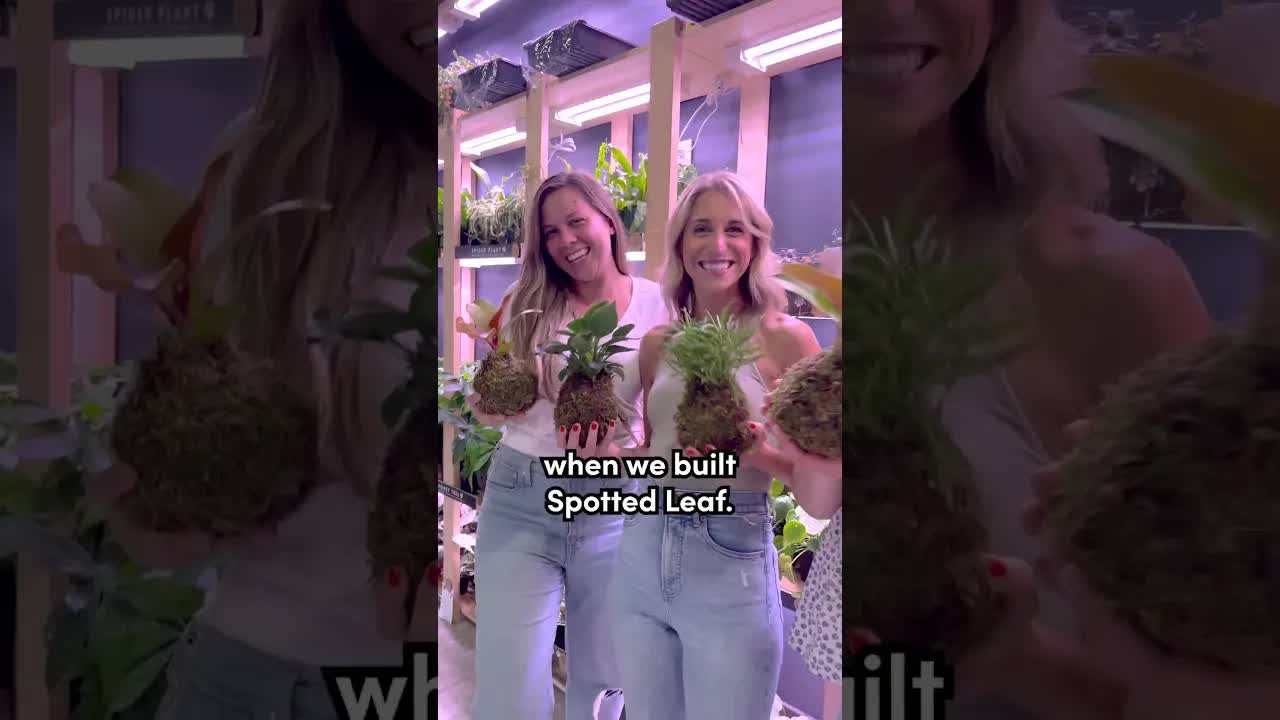 How Does This Business Help "Plant" Connection?
