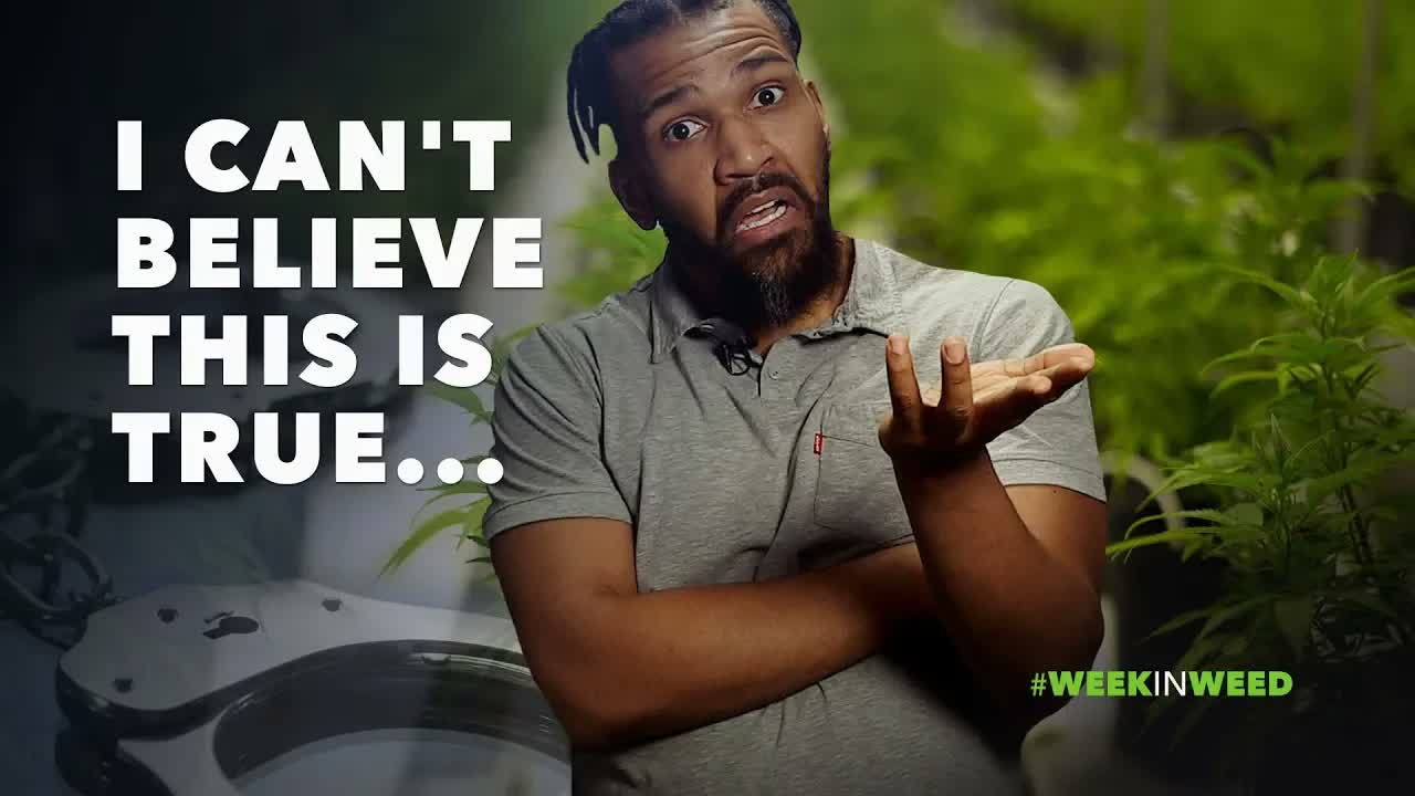 This Week in Weed: You Won't Believe Our Last Story!