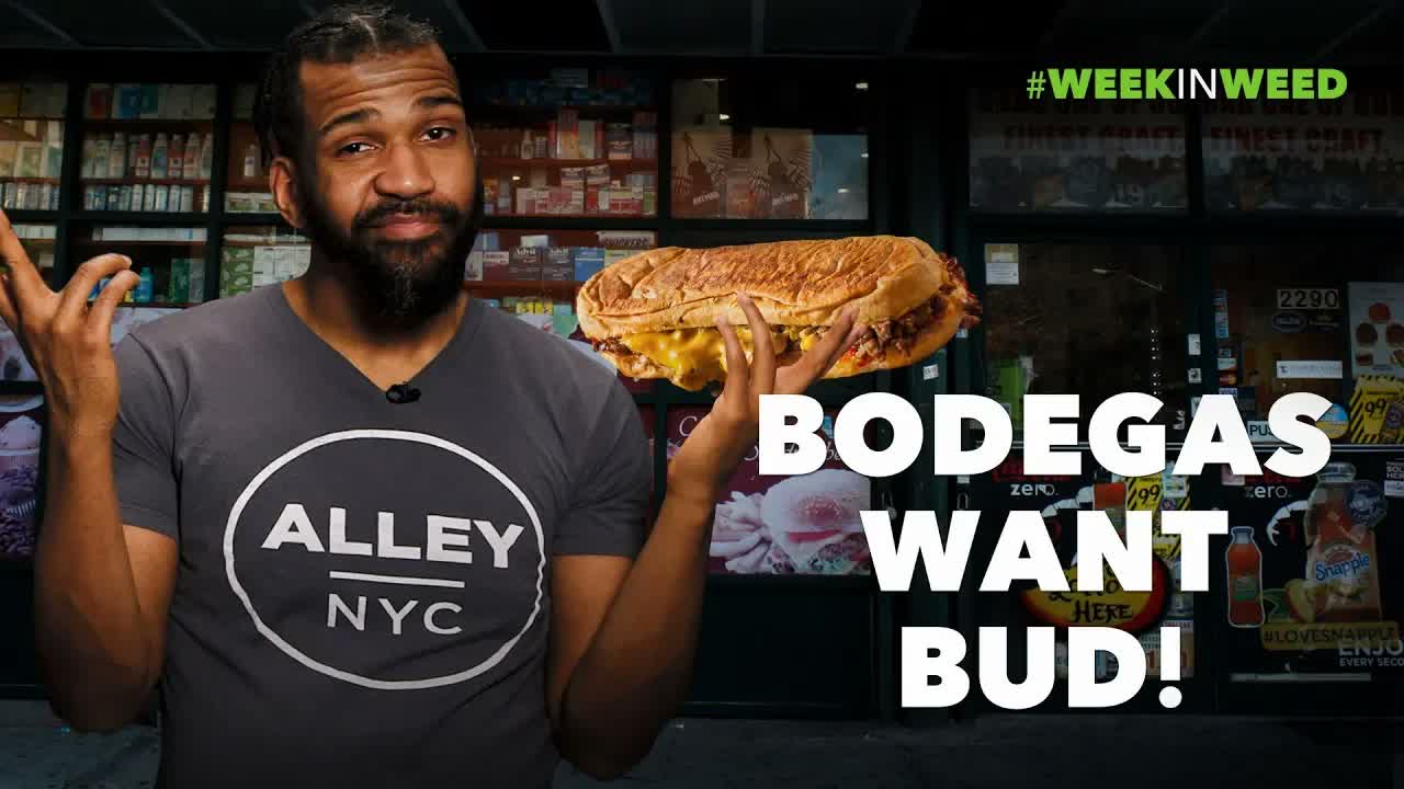 Bodegas Want Bud!