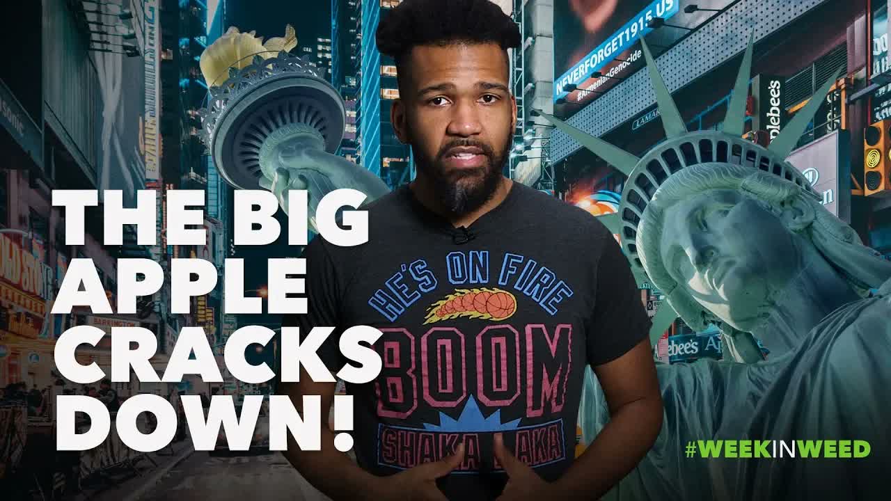 This Week in Weed: New York City Cracks Down!