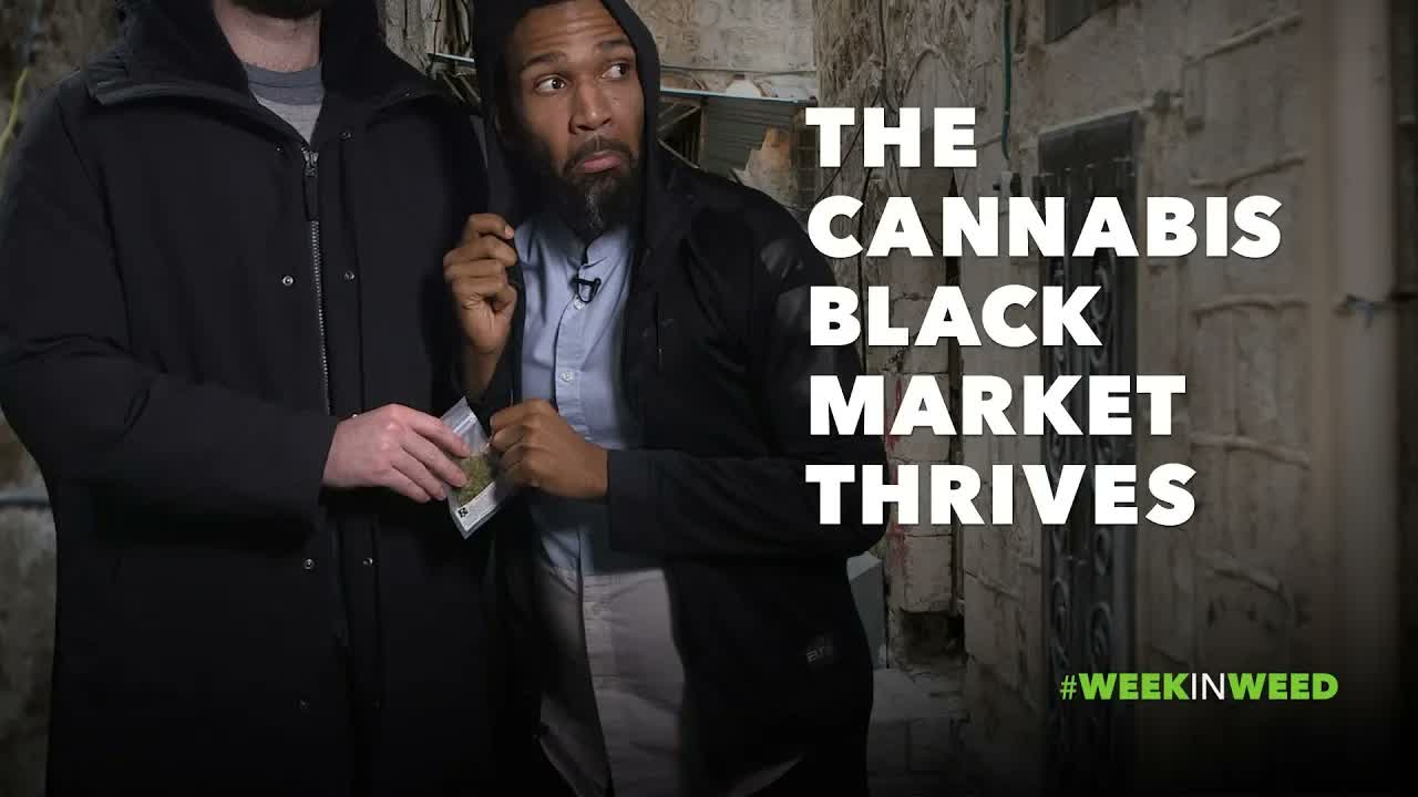 This Week in Weed: Can The Black Market Be Stopped?