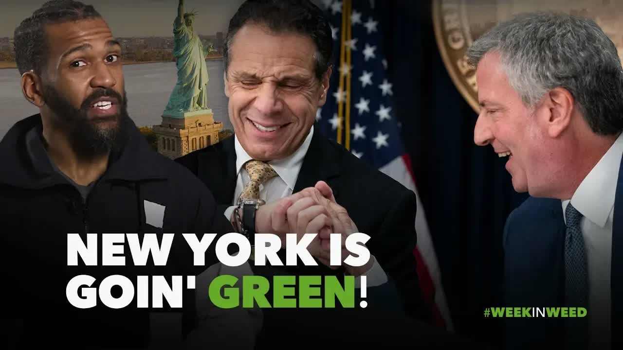 This Week in Weed: New York Goes Green!