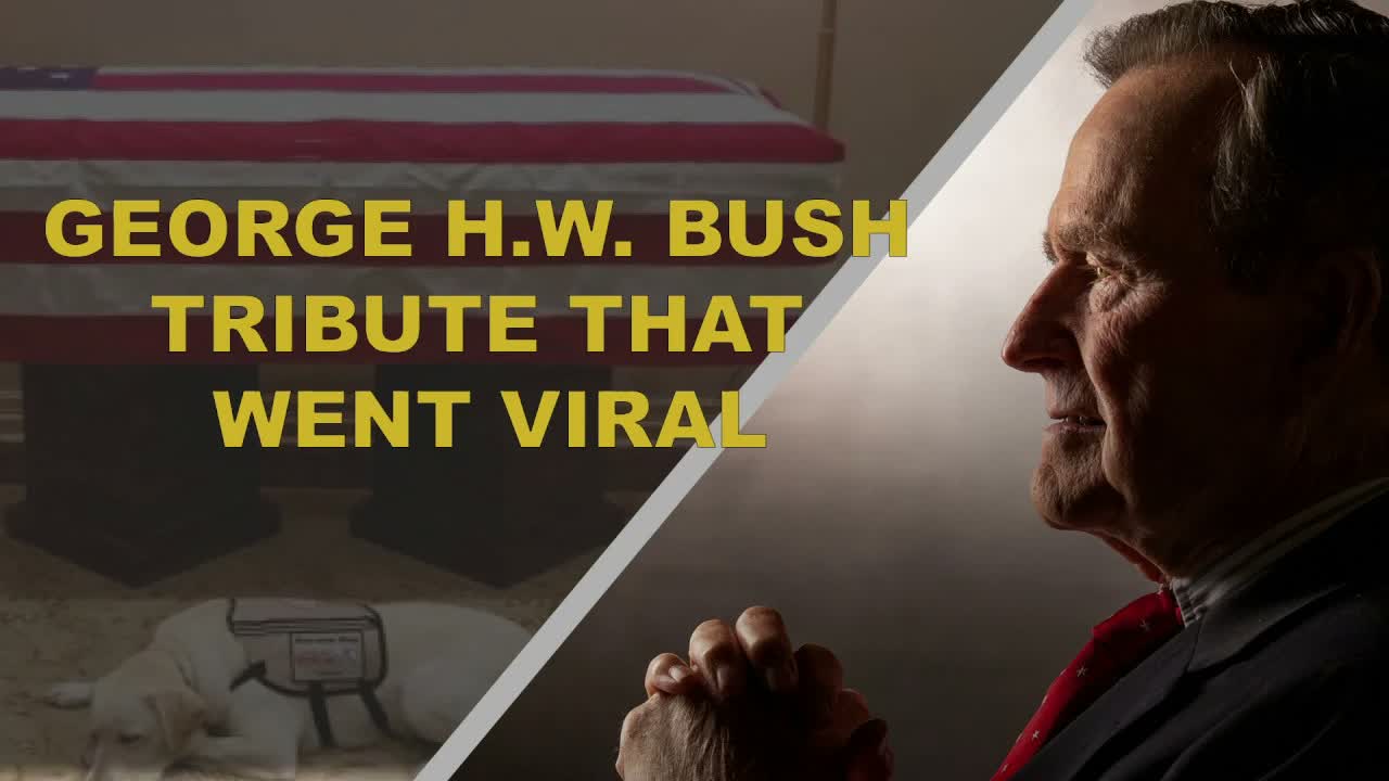 The Touching George H.W. Bush Tribute That's Gone Viral
