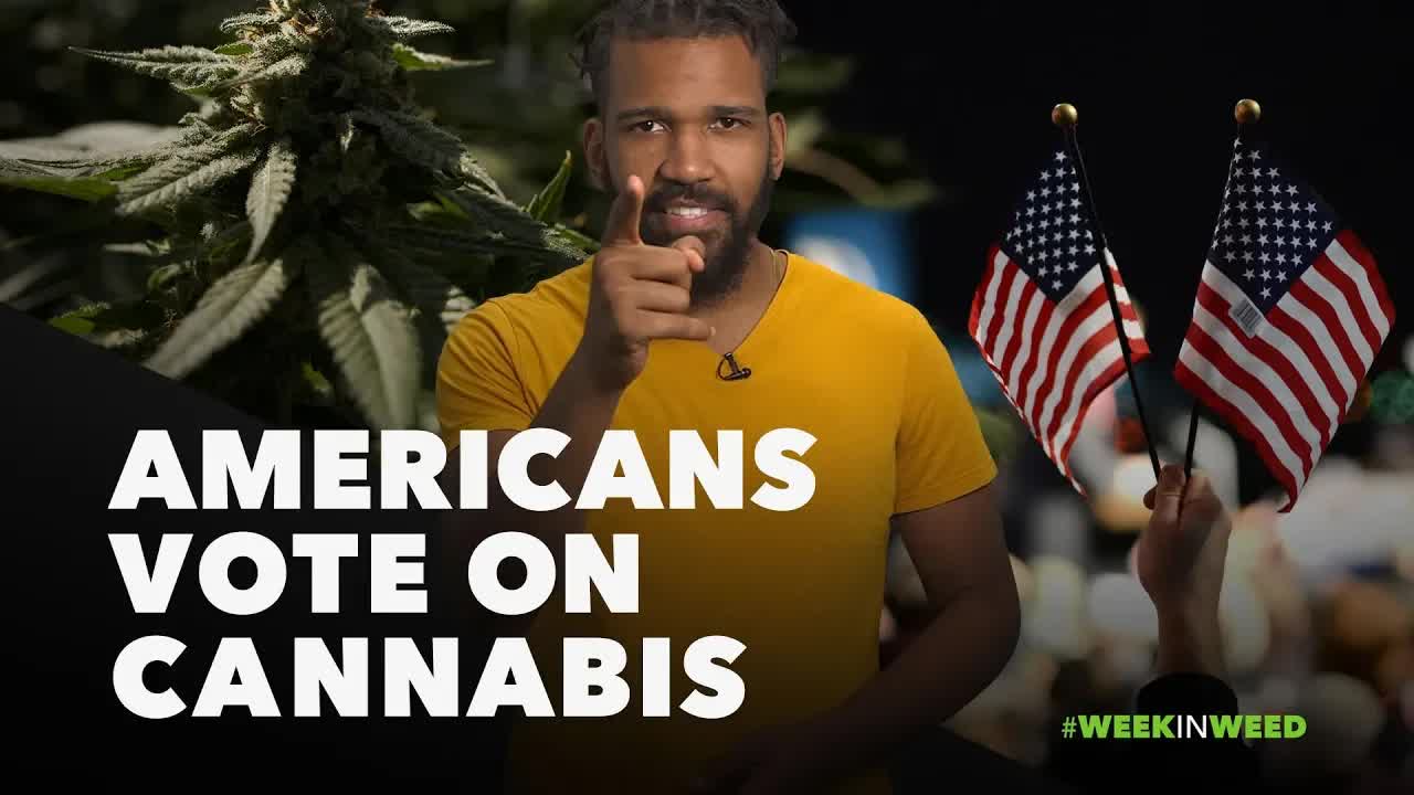 This Week in Weed: Americans Vote on Cannabis!