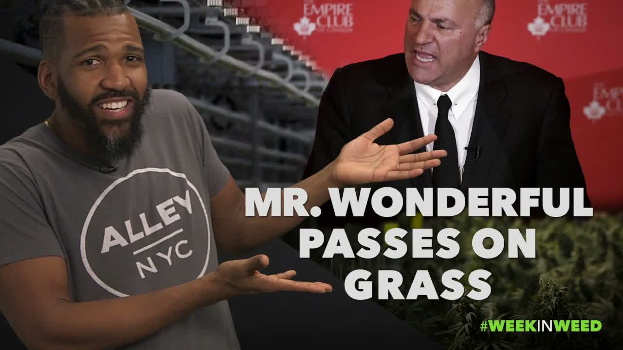 This Week in Weed: Mr. Wonderful Passes on Grass!