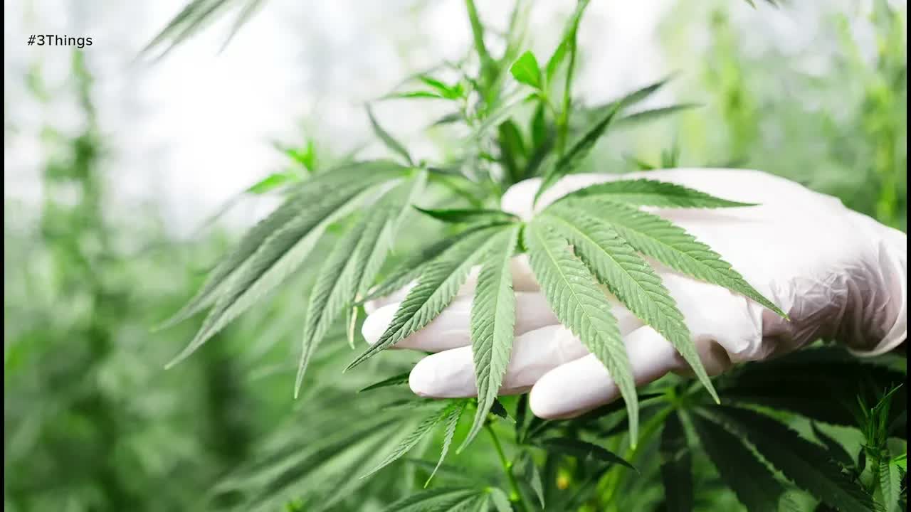 The First Marijuana-Derived Drug and a New Entry for Most Creative Commute! 3 Things to Know Today.