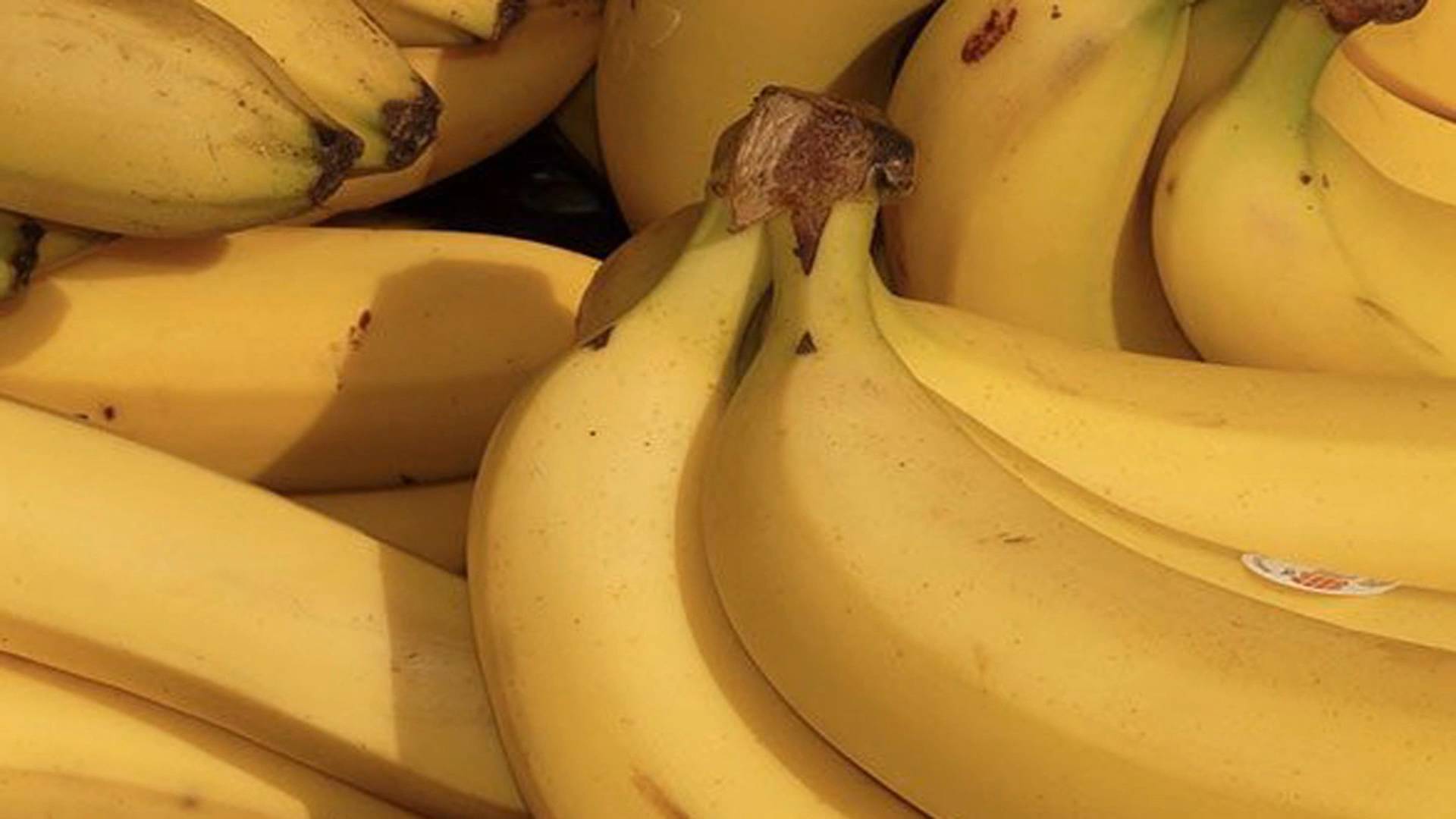 Famous frauds that fooled millions before being exposed as elaborate lies