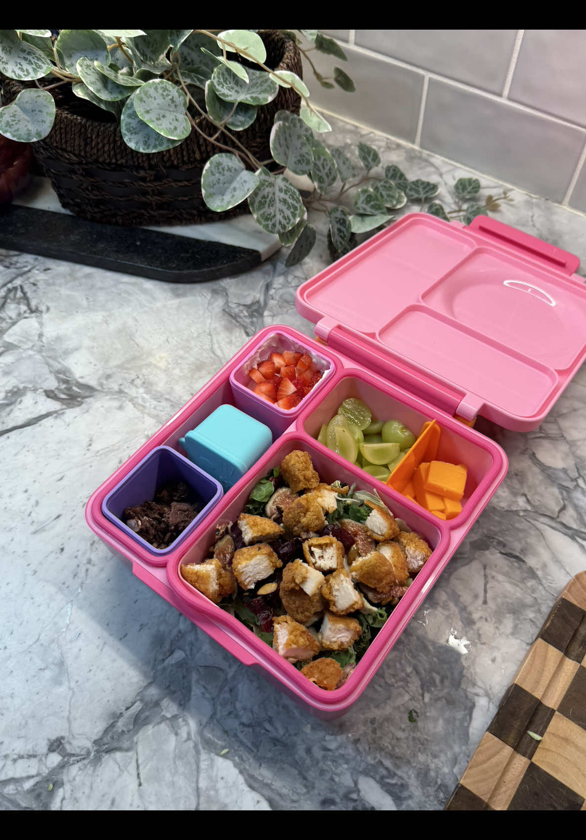 School lunch box crispy chicken, kale salad, and topped yogurt