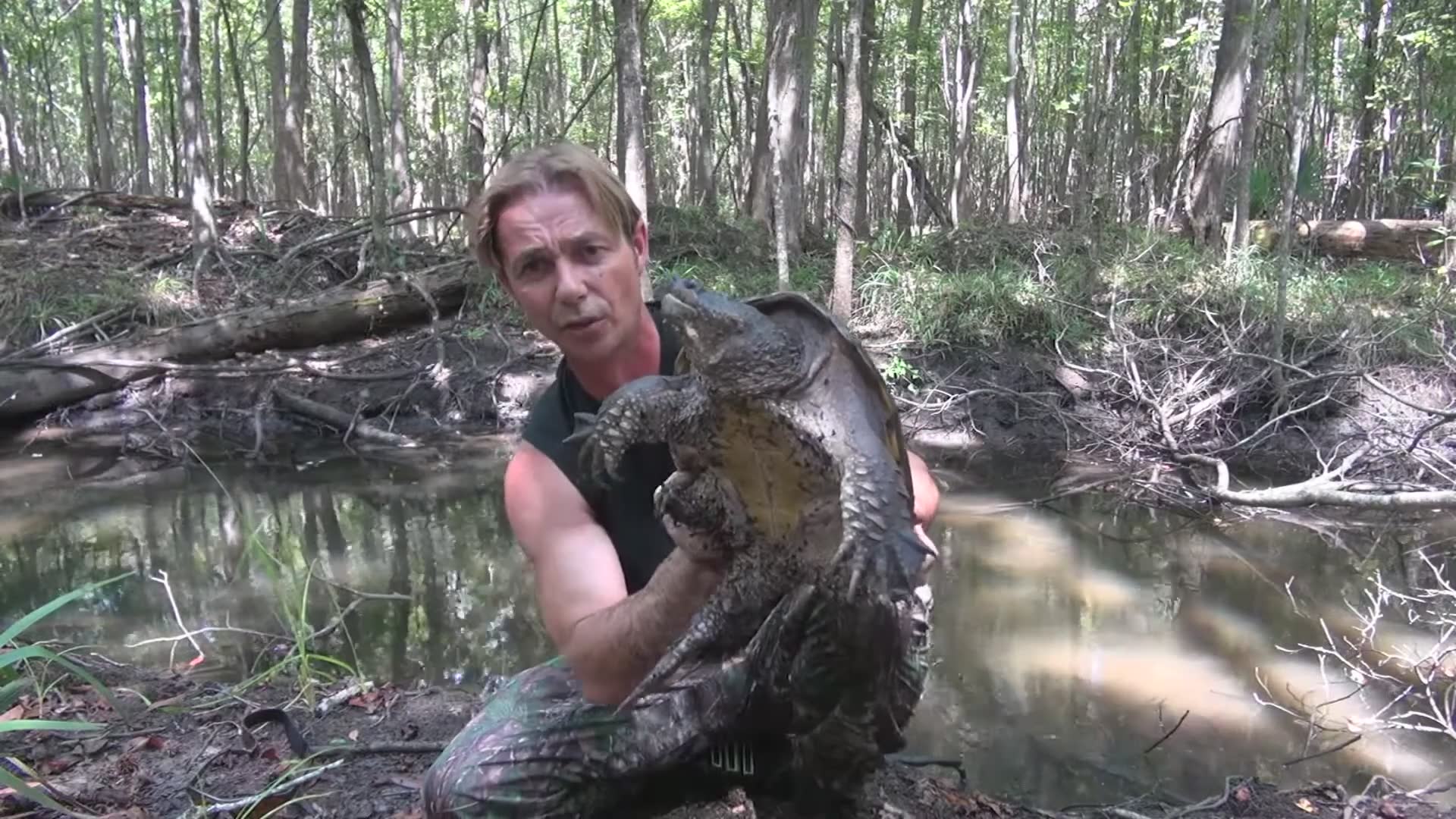 When handling aggressive snapping turtle doesn't go according to plan
