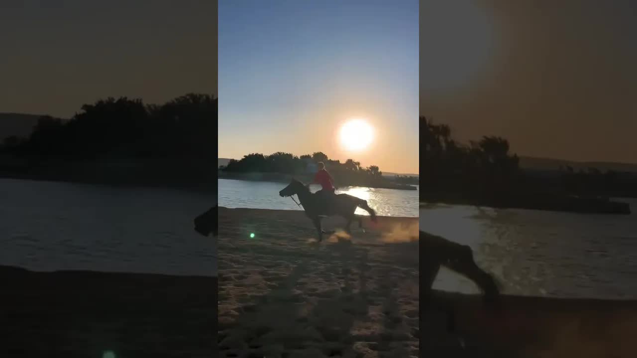 Time to gallop along the beach at sunset 🌅