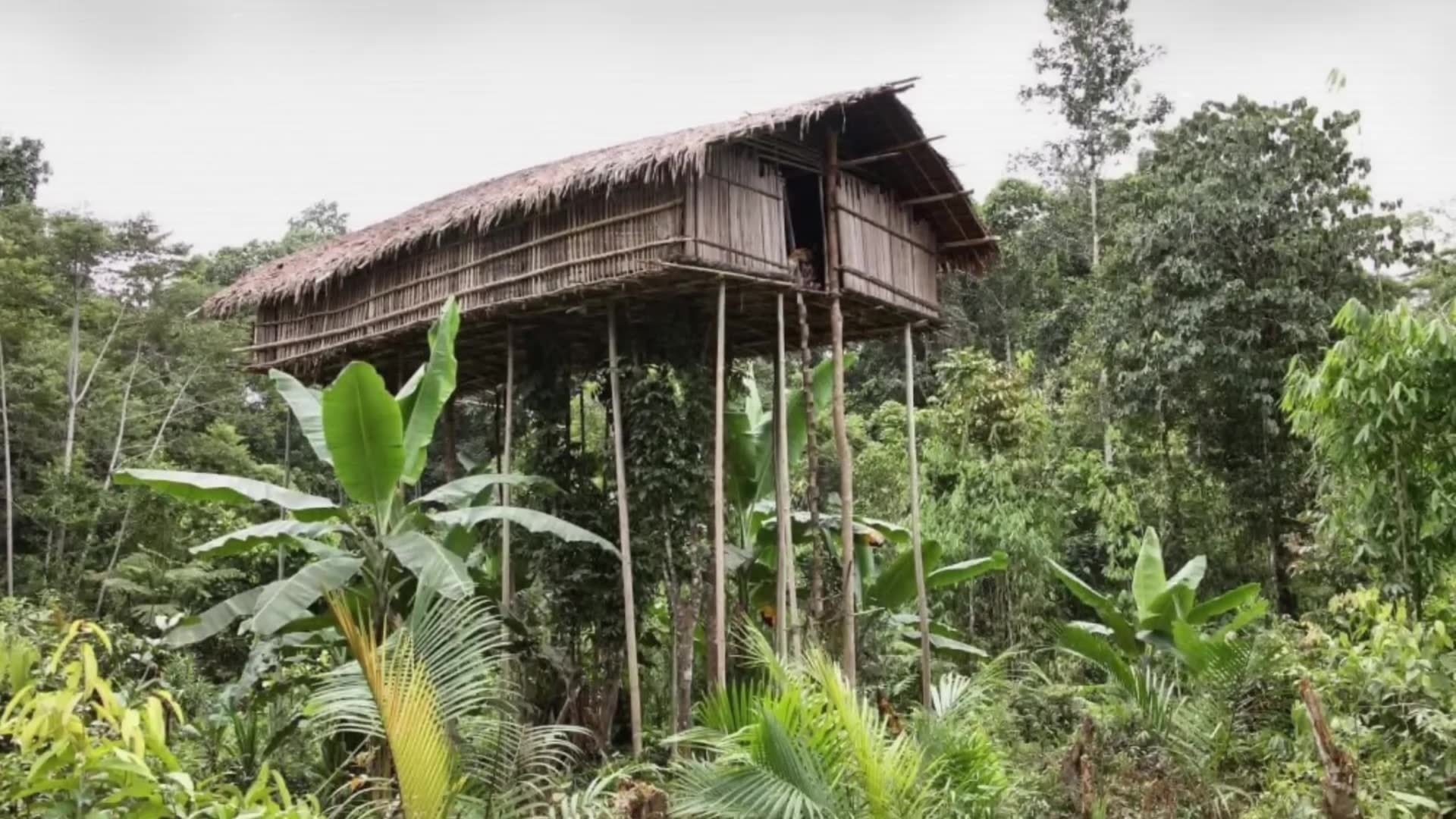 Global oddities from different cultures that challenge expectations