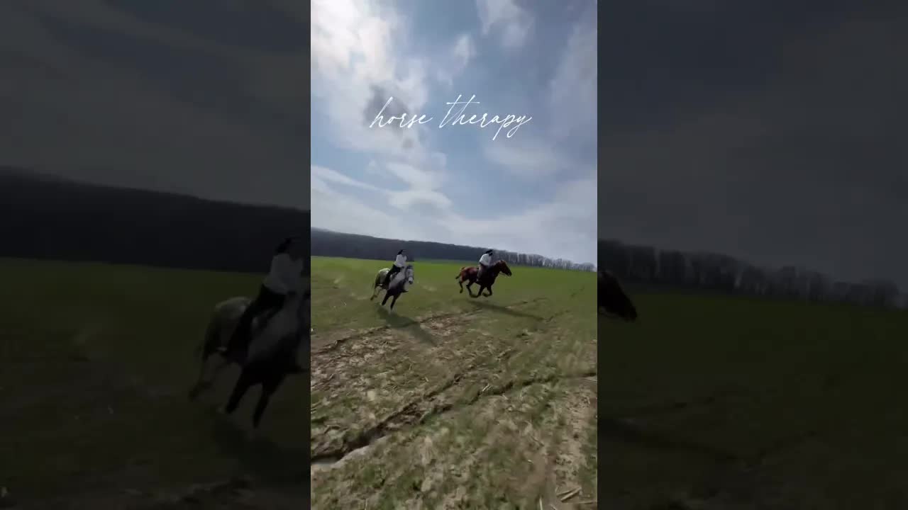 horse therapy ❤️🐴