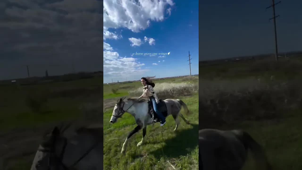 a horse gives you wings 🪽