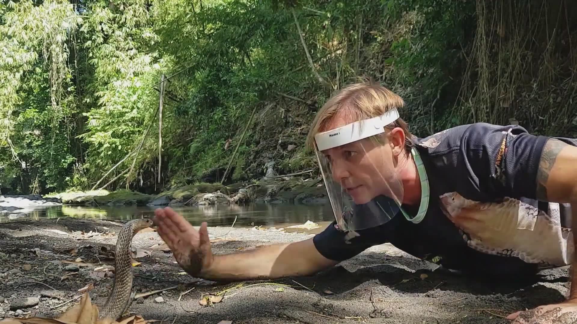 Witnessing deadly venomous snake species in the wild during field research