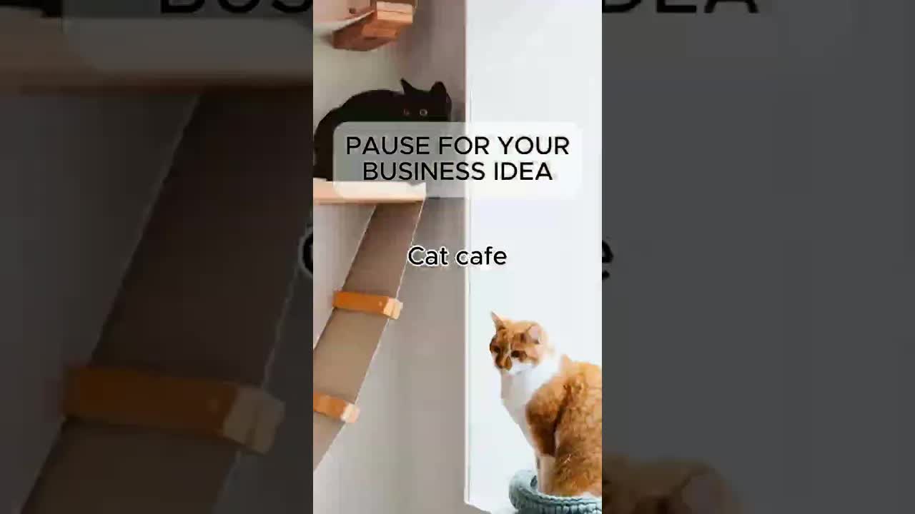 Which business did you get?