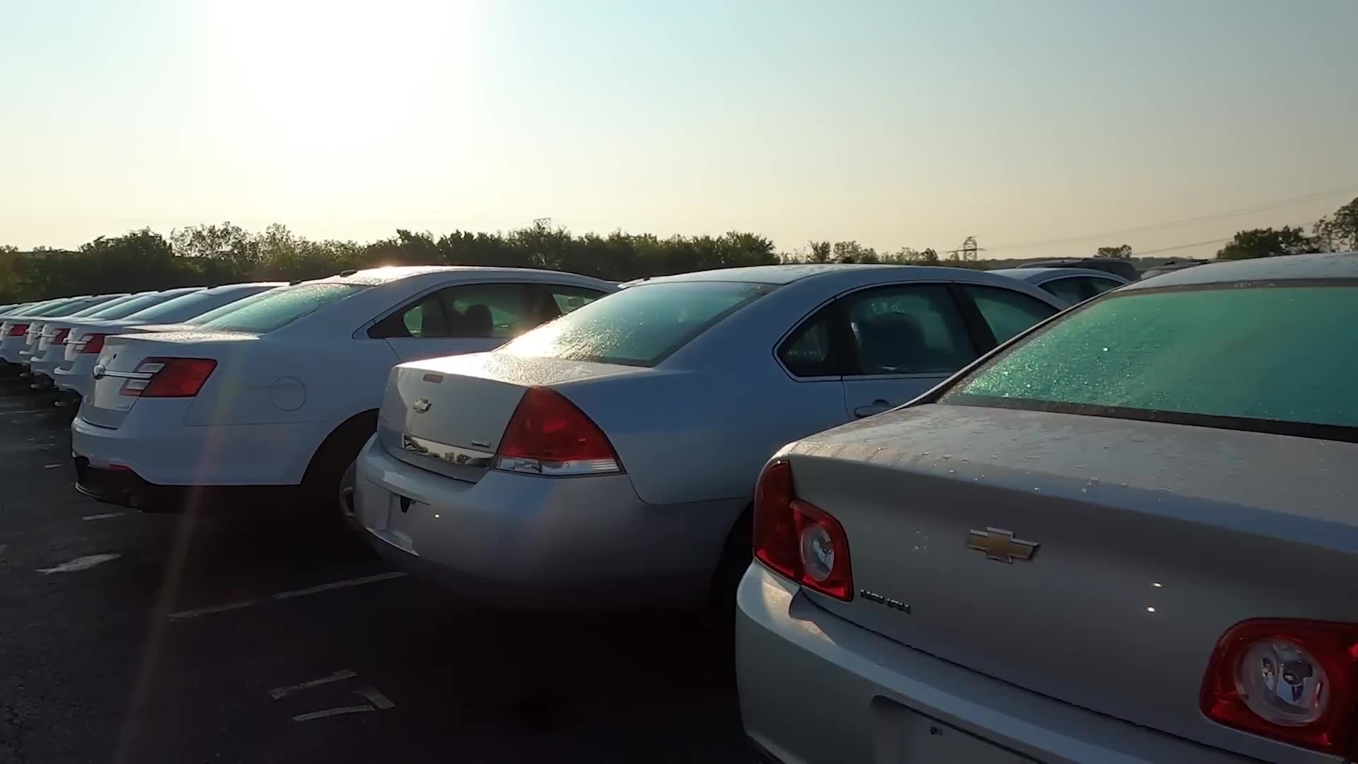 Public car auctions accessible without dealer license required