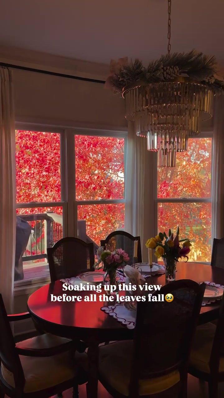 Natural seasonal beauty red leaves surrounding dining room view