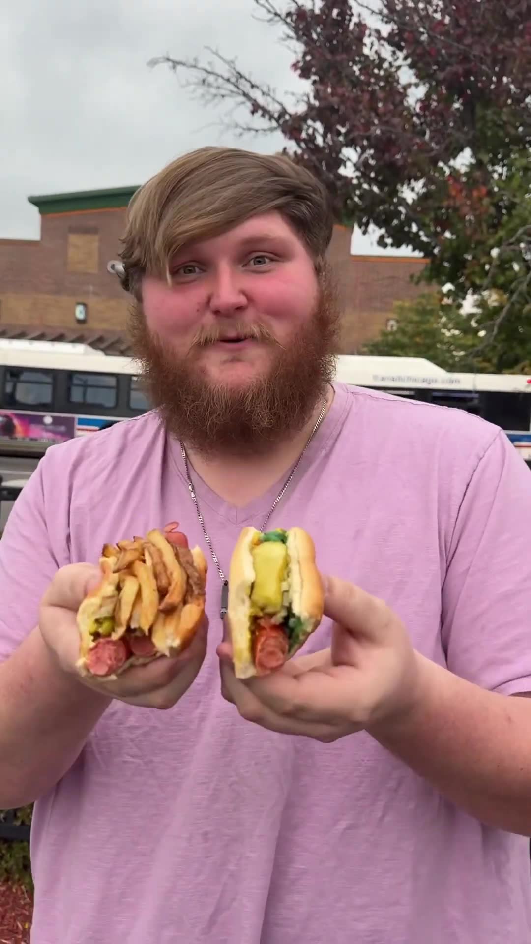 Chicago hot dog food review testing the best spots in the city