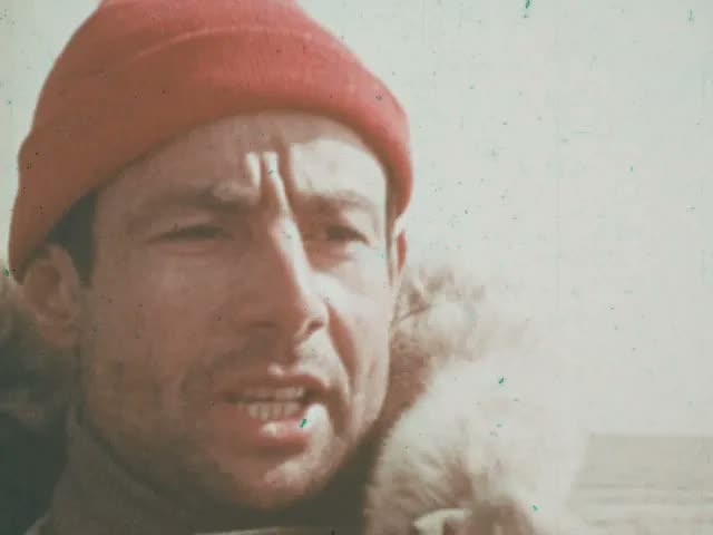 The Smile Of The Walrus (1978)