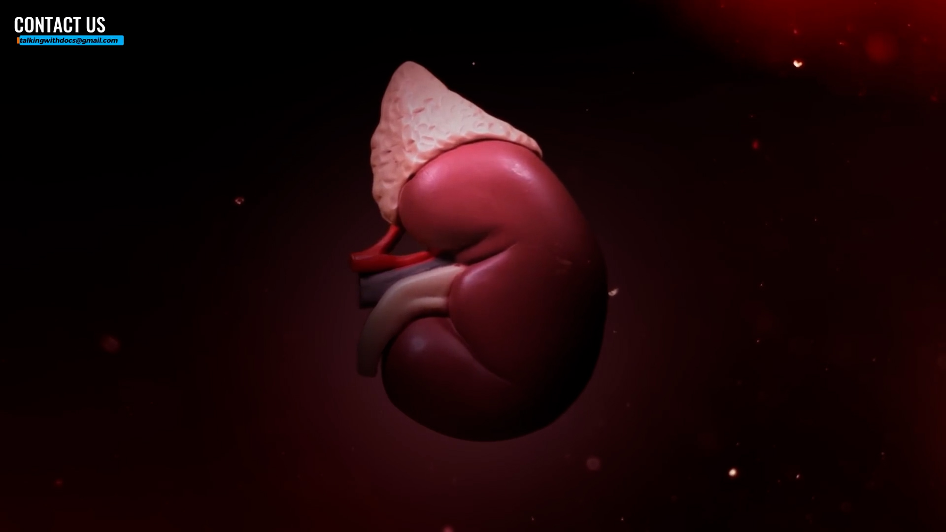 Nephrologist Dr. Pandeya explains what your kidney bloodwork really shows