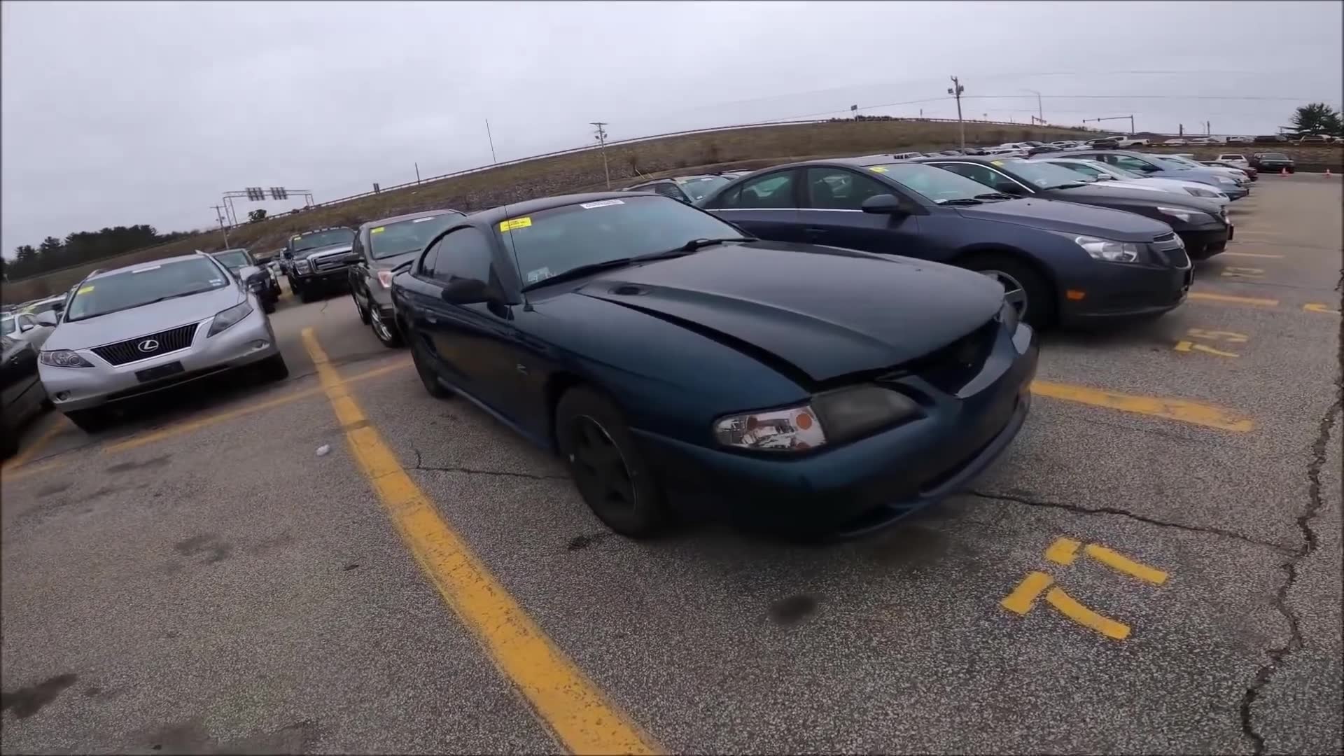 What will $2,000 buy you at a dealer only auction, and it cost me
