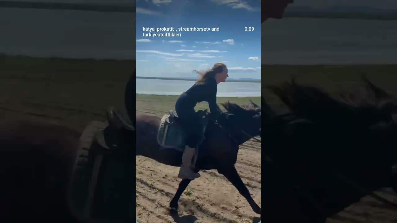 global horse girls 🏇