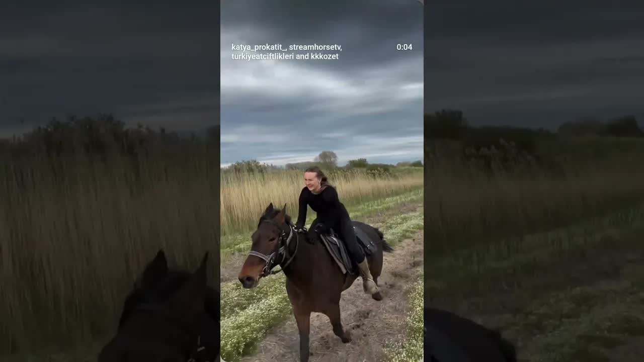 Adygesh 🐎 Incredible boy, I love horses like this - sensitive and fast
