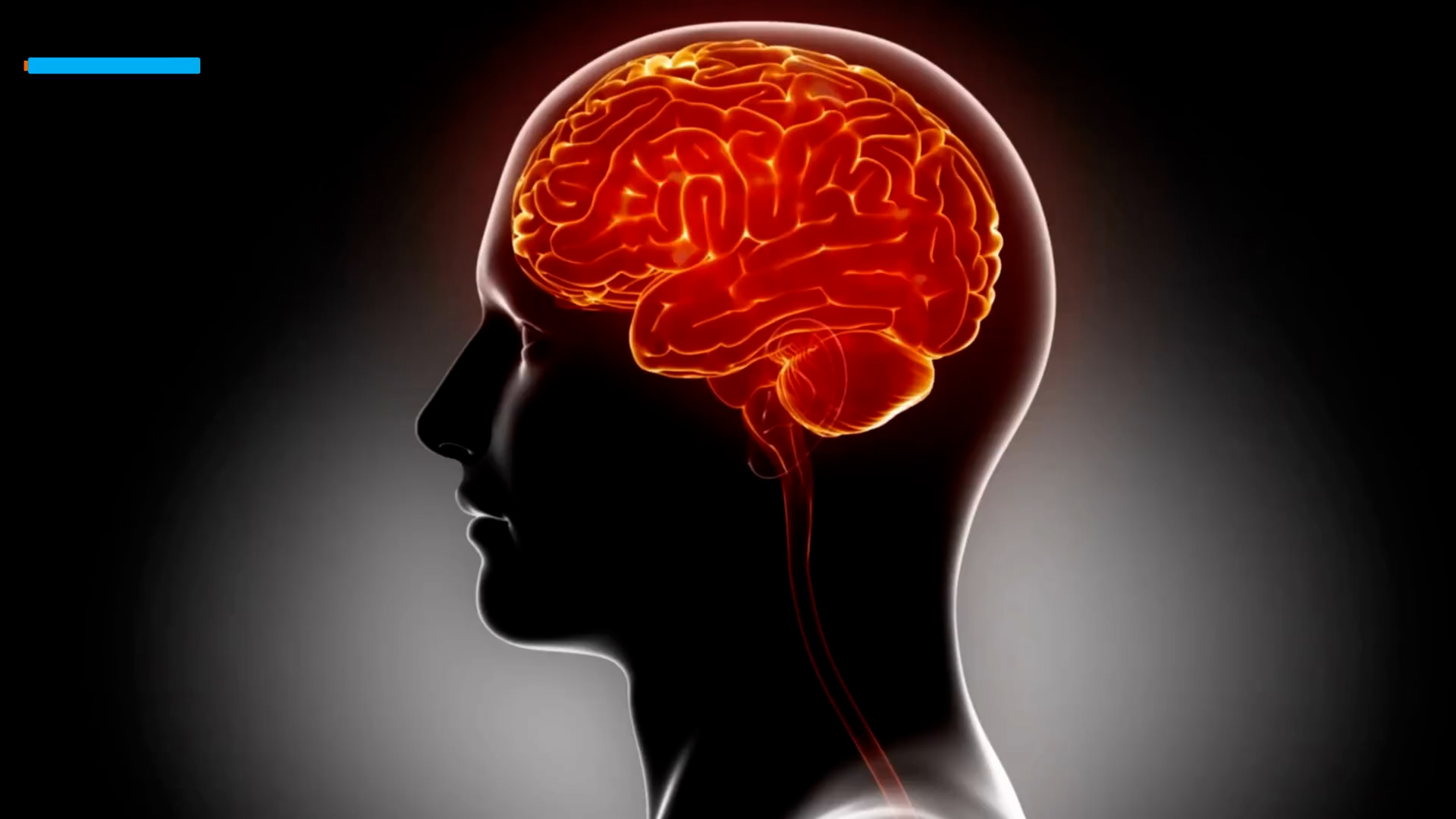 Doctors share what they tell patients about pain perception