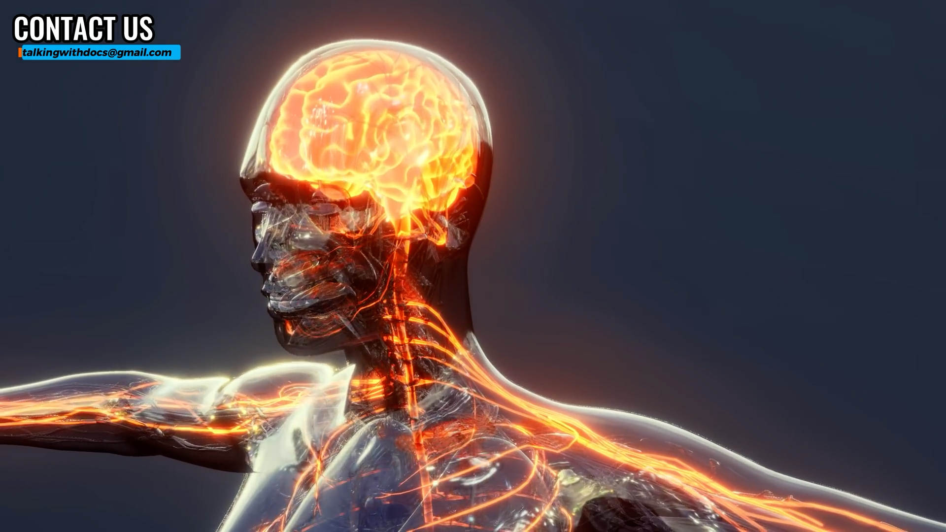 What neurologists want you to know about brain controlling your health